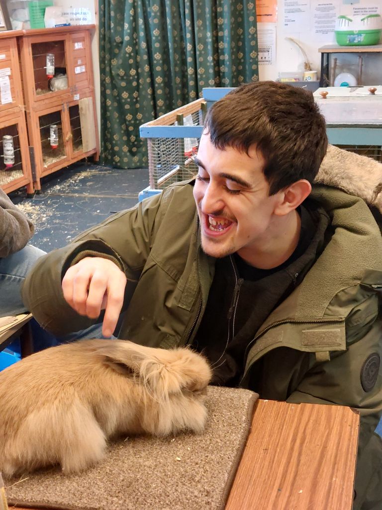 young man with dark hair pets a fluffy rabbit